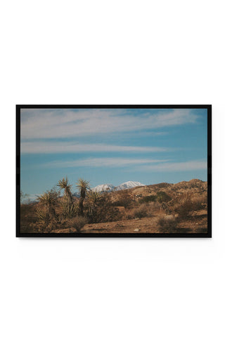 Mountain Tops - OFF TOMORROW