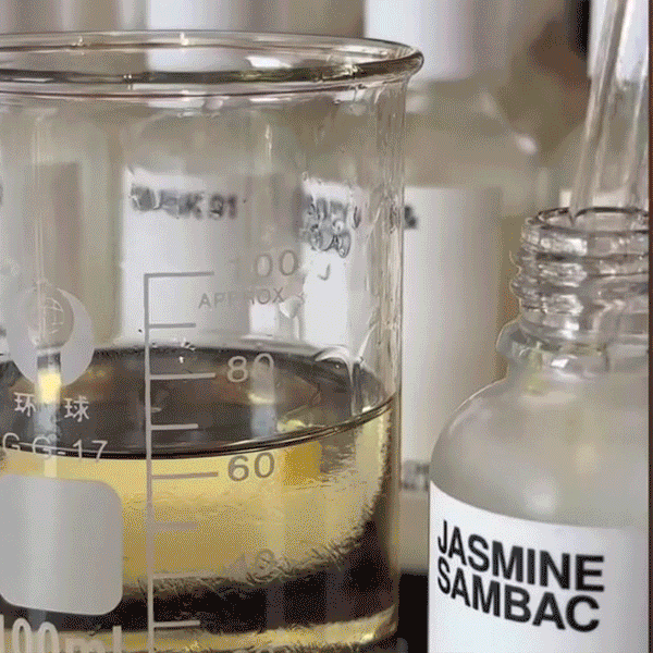 Instagram | Our Projects